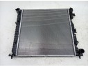 RADIADOR AGUA 25310N7030 