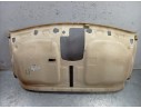 TECHO INTERIOR 739016891R 8200729934 