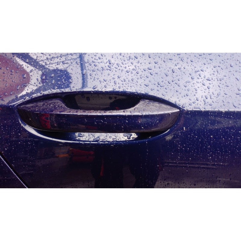 Recambio de maneta exterior trasera derecha para volkswagen golf viii (cd1, da1) 1.5 etsi referencia OEM IAM   