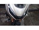ARAÑA 