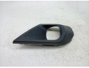 MOLDURA ANTINIEBLA DERECHA 261A27239R 
