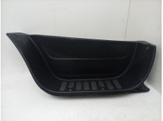 MOLDURA 769520009R 