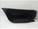MOLDURA 769520009R 