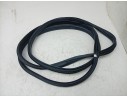 GOMAS CONTORNO PUERTA 8200677116 