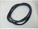 GOMAS CONTORNO PUERTA 8200677116 