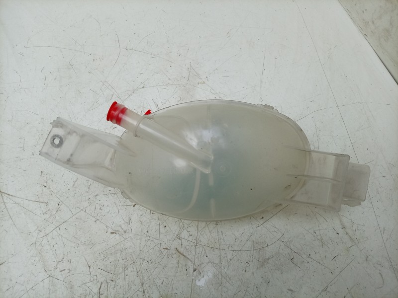 Recambio de deposito expansion para renault master iii furgoneta (fv) 2.3 dci 150 fwd (fv0f, fv03) referencia OEM IAM  217100015