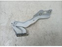 BISAGRA CAPO IZQUIERDA 654012161R 