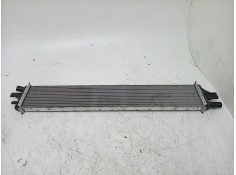 RADIADOR AGUA 214C10001R 11443002559/59217