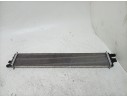 RADIADOR AGUA 214C10001R 11443002559/59217