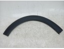 ALETIN DELANTERO IZQUIERDO 9812088580 9812088680 107076120/4850001/CI3281582/4850005