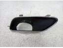 EMBELLECEDOR 8W0253825E 