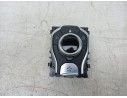 MANDO MULTIFUNCION 253B08895R 