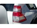 PILOTO TRASERO DERECHO 8155160B50 