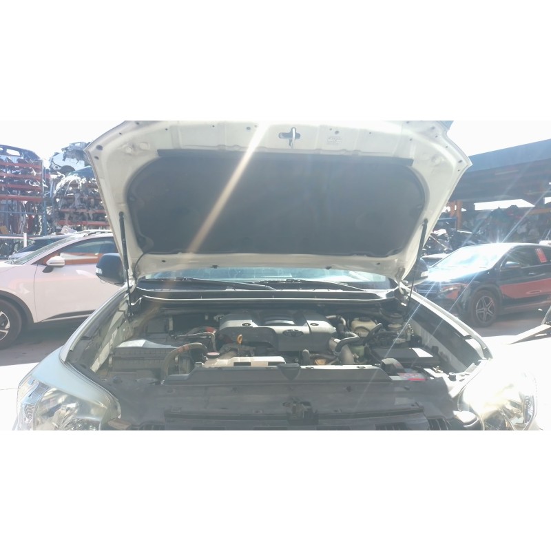 Recambio de amortiguadores capo para toyota land cruiser 3p 3.0 d-4d 190 cv referencia OEM IAM   