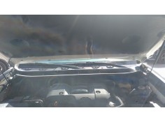 TORPEDO 5570860172 