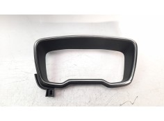 MOLDURA 5541102C10 5541102C10 