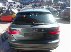 PORTON TRASERO 