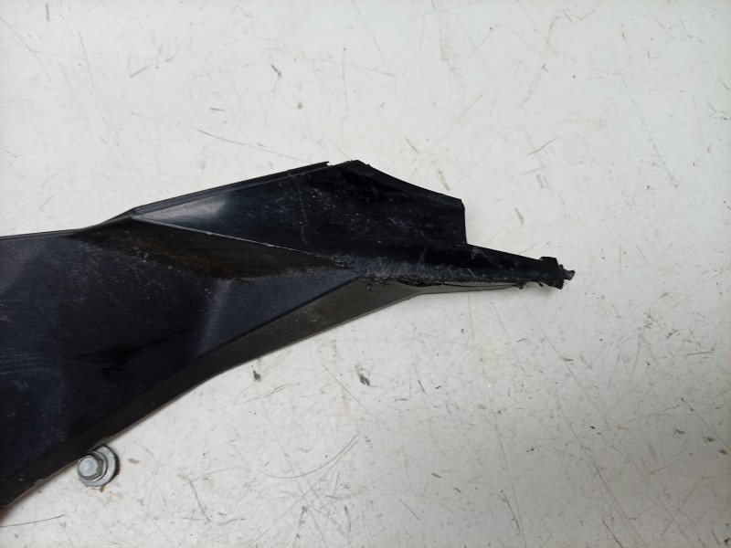 Recambio de moldura para bmw f 900 r f 900 r referencia OEM IAM  46638403854 