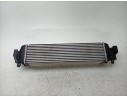INTERCOOLER 22828110 7617598 219520B / 30946 / CNGBM006 / BM250N002