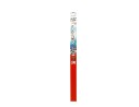 ESCOBILLA LIMPIA 70CM 70CM 32100140700/DOGDVF70