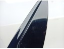 MOLDURA 960339301R 960325616R 