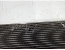 RADIADOR AGUA 17118672102 58411