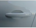 MANETA EXTERIOR DELANTERA IZQUIERDA 806068654R 
