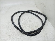 GOMAS CONTORNO PUERTA 95853736501 