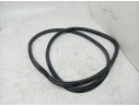 GOMAS CONTORNO PUERTA 95853736501 
