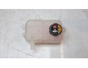 DEPOSITO EXPANSION 254R0P4500 254R0P4500 