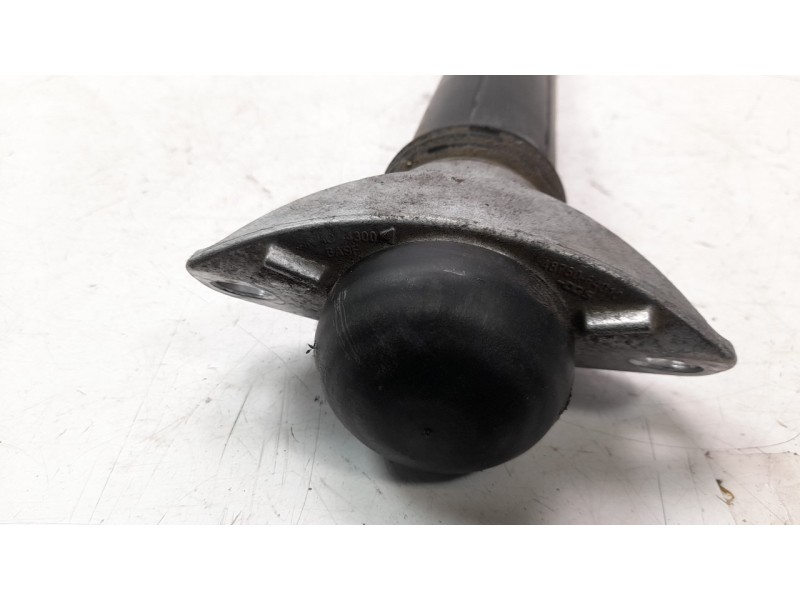 Recambio de amortiguador trasero izquierdo para toyota corolla (e21) referencia OEM IAM 4853002M10  