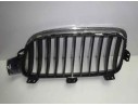 REJILLA DELANTERA 51137263480 107063315 BM0282013