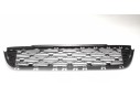 REJILLA PARAGOLPES CENTRAL 9812062277 9812062277 CI3282130 107076104
