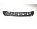 REJILLA PARAGOLPES CENTRAL 9812062277 9812062277 CI3282130 107076104