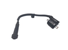 Recambio de bobina encendido para yamaha nmax nmax 125 referencia OEM IAM B6HH231001  