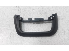 MOLDURA 251635510R 251635510R 