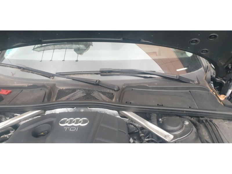 Recambio de motor limpia delantero para audi a4 avant (8w5) básico referencia OEM IAM 8W1955023C  