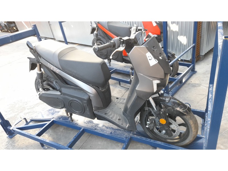 seat mo del año 2024