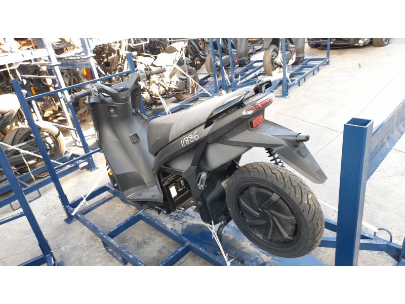 seat mo del año 2024