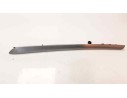 MOLDURA 809R67444R 