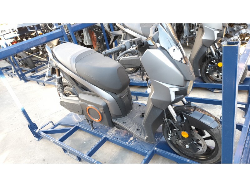 seat mo del año 2024