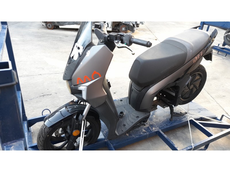 seat mo del año 2024