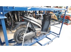 seat mo del año 2024 2