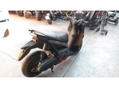 seat mo del año 2024 2