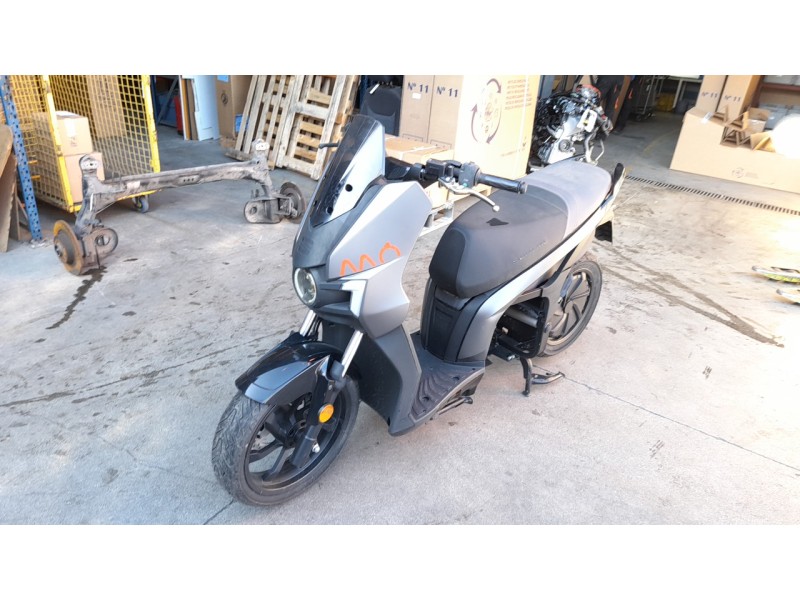 seat mo del año 2024