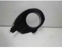 MOLDURAS DELANTERAS 1531739 1531739 FD3441247 107104416