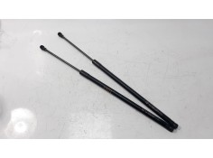 AMORTIGUADORES MALETERO / PORTON 95917196 