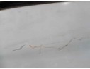 PARAGOLPES TRASERO 182864299 182864299 FT1321061