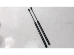 AMORTIGUADORES MALETERO / PORTON 00520176510 