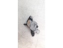 MOTOR LIMPIA TRASERO 287108228R 